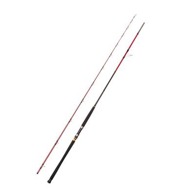 Caretta Vector 305cm 60-150gr Shore Jigging Kamışı