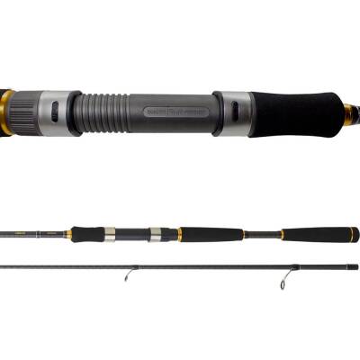 Daiwa New Legalis Seabass 240cm 10-35gr Spin Olta Kamışı - 4