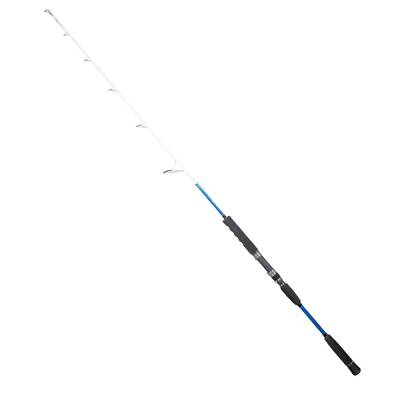 Ryuji Big Game Fuji 159cm 350gr Shore Jig Kamış