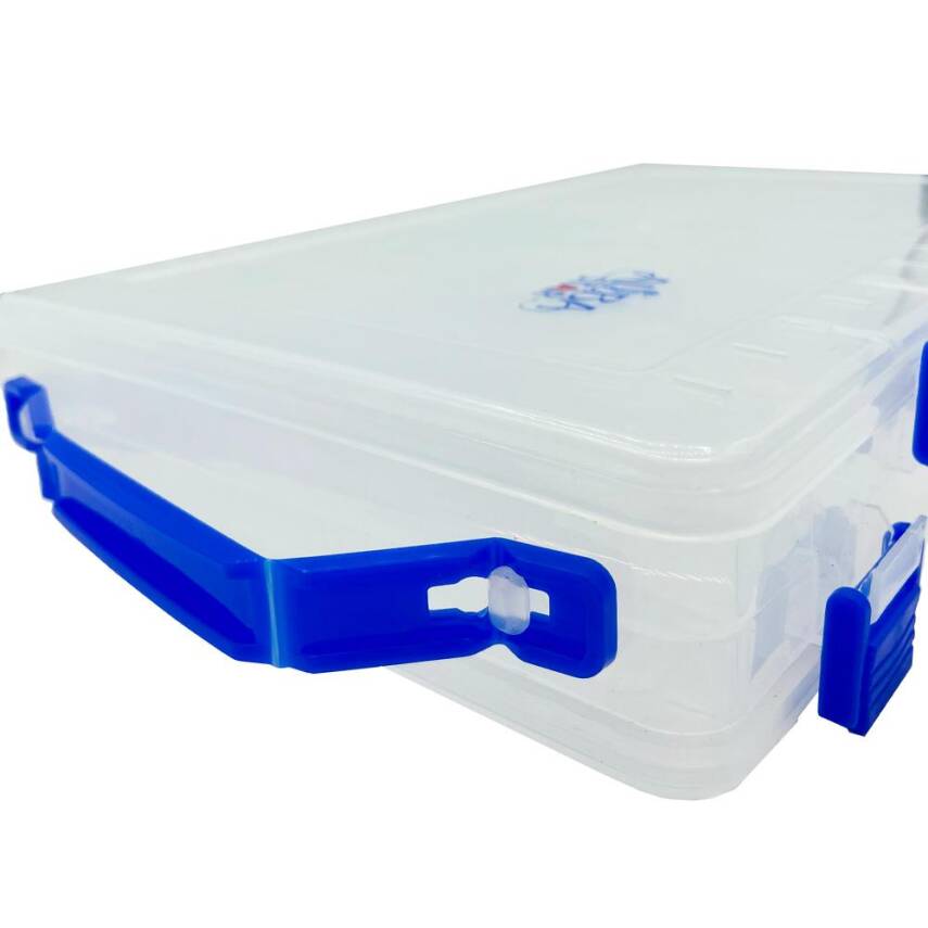 Albastar Çift Taraflı 27cm Maket Balık Kutusu - Mavi - 3