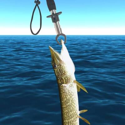 Bauer 18cm T Fish Grip Paslanmaz Çelik Balık Tutucu - 2