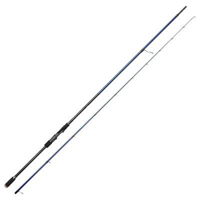 Bauer Risco SGS6 290cm 30-70gr Shore Jigging Kamışı