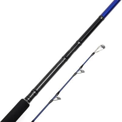 Bauer Risco SGS6 305cm 30-100gr Shore Jigging Kamışı - 2