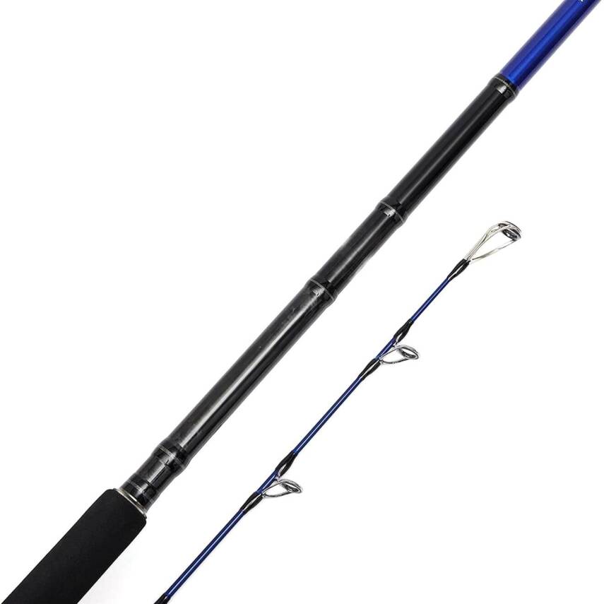 Bauer Risco SGS6 305cm 30-100gr Shore Jigging Kamışı - 2