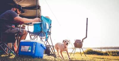 Coleman Performance Tri Color 16QT Buzluk 15lt - 2