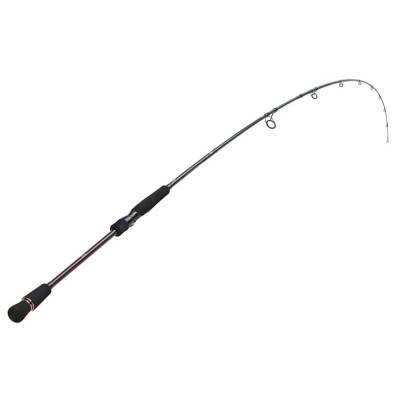 Daiwa infeet Seabass 244cm 7-28gr Spin Kamış - 2
