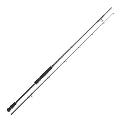 Daiwa infeet Seabass 251cm 10-35gr Spin Kamış