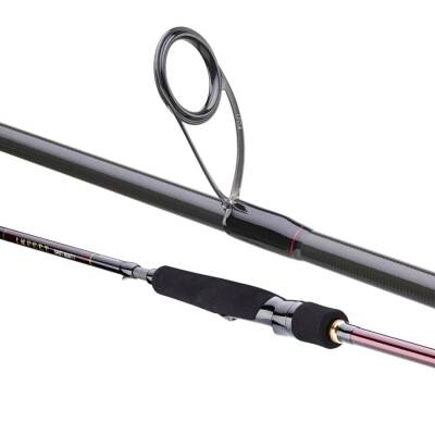 Daiwa infeet Seabass 251cm 10-35gr Spin Kamış - 4