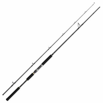 Daiwa Jig Caster MX 96MH 290cm 25-90gr Shore Jigging Kamışı