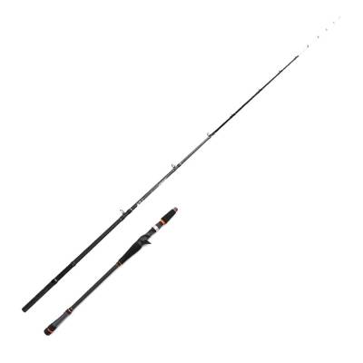 Daiwa New Legalis 208cm 40-160gr Tai Rubber Olta Kamışı (Tetikli) - 1