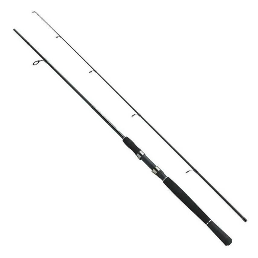 Fladen Xtra Flexx 165cm 40-80gr Bot Kamışı - 1