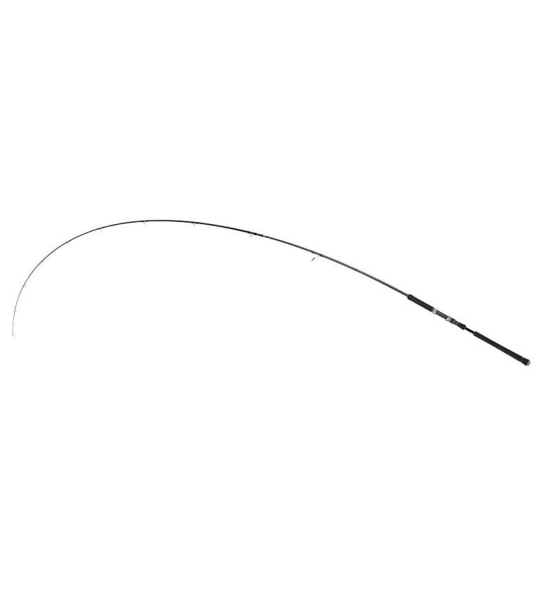 Fujin Madcast 290cm 20-80gr Shore Jig Kamışı - 2