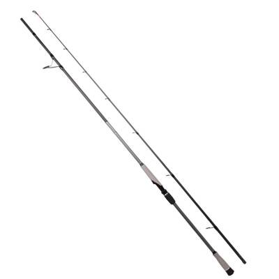 Ryuji Matrix 240cm 20-60gr Shore Jig Olta Kamışı