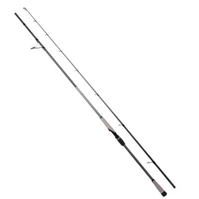 Ryuji Matrix 280cm 25-80gr Shore Jig Olta Kamışı - 1