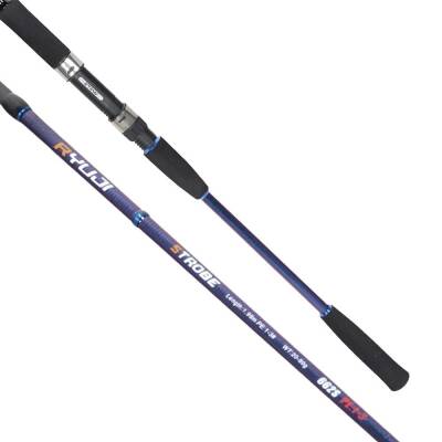 Ryuji Strobe 198cm 20-80gr Jig Olta Kamışı - 2