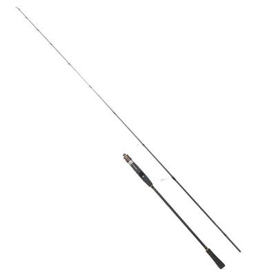 Ryuji Teton 180cm 20-60gr Light Jigging Olta Kamışı