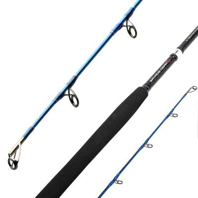 Savage Gear SGS2 290cm 20-80gr Shore Jigging Kamışı - 2