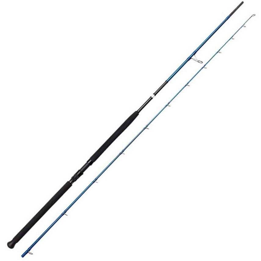 Savage Gear SGS2 305cm 60-150gr Shore Jigging Kamışı - 1