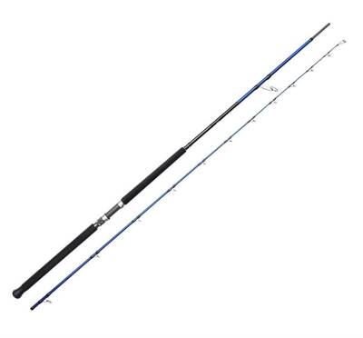 Savage Gear SGS6 305cm 30-100gr Shore Jigging Kamışı