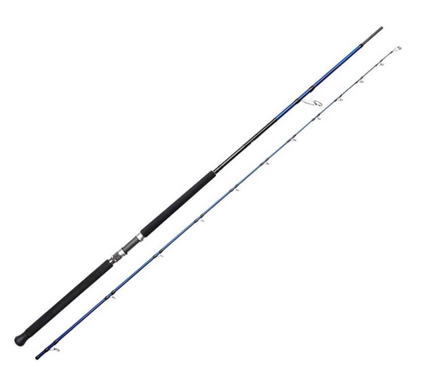 Savage Gear SGS6 305cm 30-100gr Shore Jigging Kamışı - 1