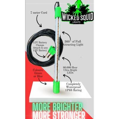 Wicked Squid WS1000 Kalamar ve Balık Aydınlatma Işığı