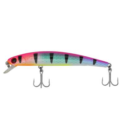 Wily Legend 9cm 5,8gr Maket Balık - 15