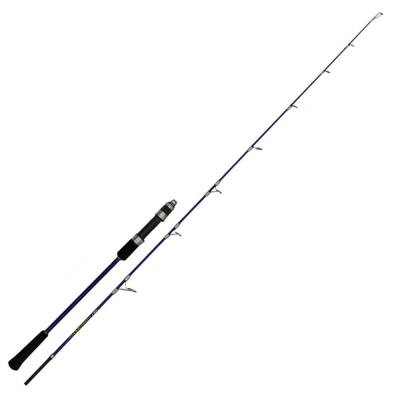 Wily Asutai 190cm 80-150gr Jig Kamışı
